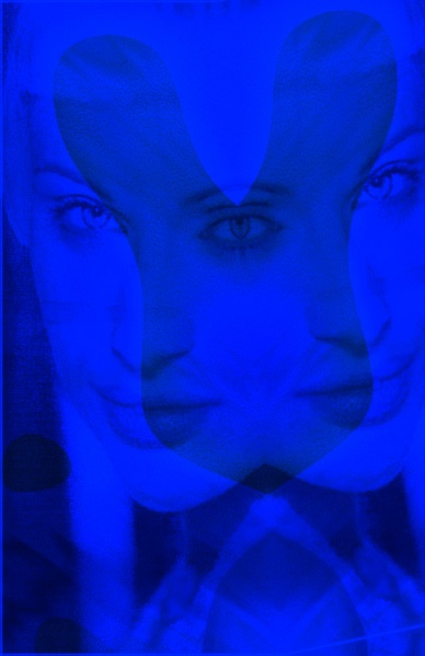 File:Cutebunny.jpg