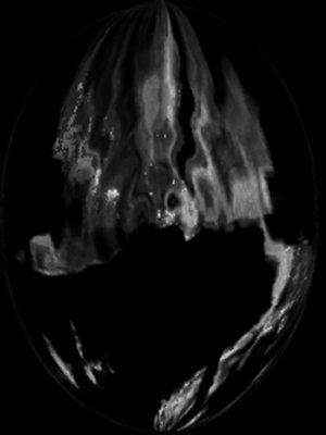 File:Firew.jpg